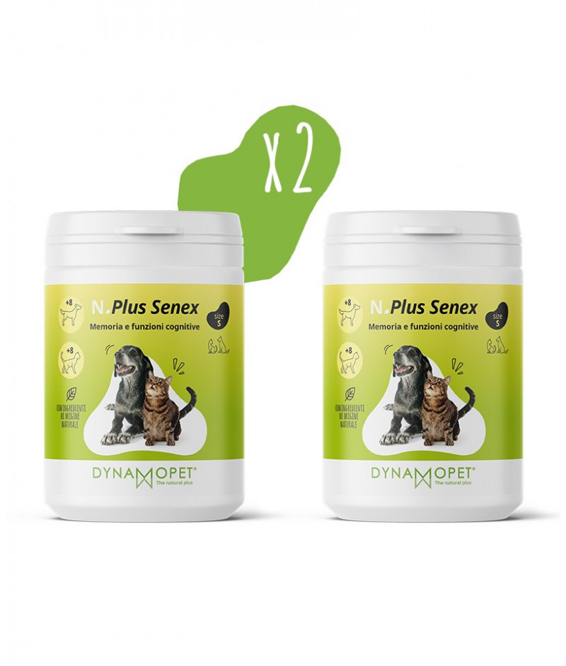 multipack senex x2 memoria e funzioni cognitive gatti e multipack senex x2 memoria e funzioni cognitive gatti e