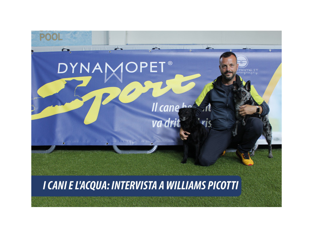 I cani e l'acqua: Intervista a Williams Picotti 