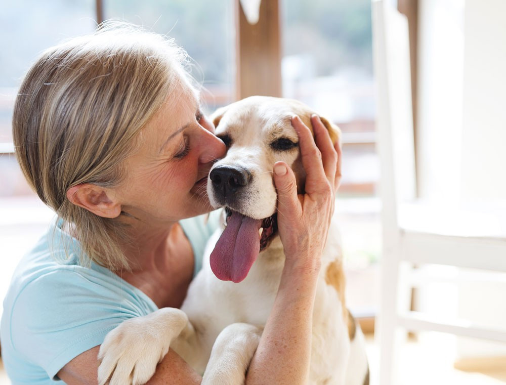 Leishmaniosi del cane, attenzione anche in autunno
